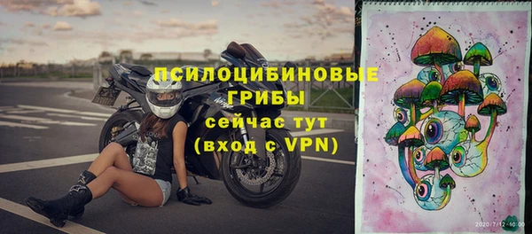 бутират Алзамай