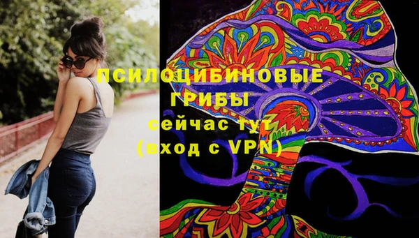 бутират Алзамай